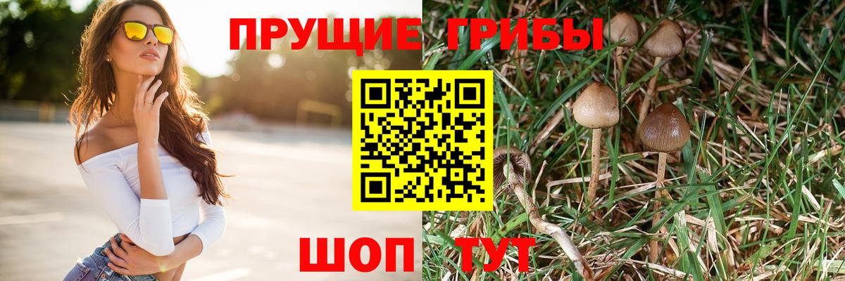 Галлюциногенные грибы мицелий  Вход с VPN  Котельники 