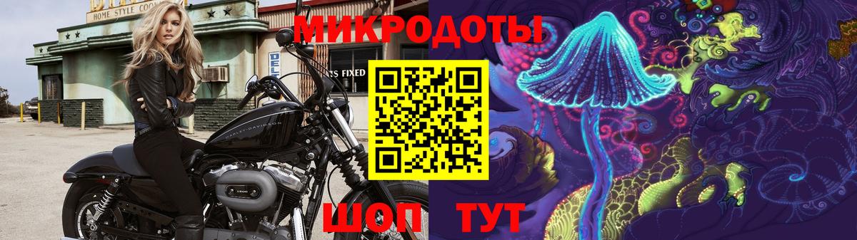 Псилоцибиновые грибы прущие грибы Котельники